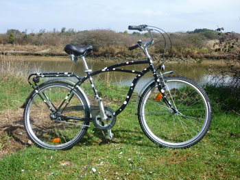 Velo Beach-Veloo